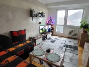 Pronájem bytu 1+1, Kopřivnice, Štefánikova, 40 m2