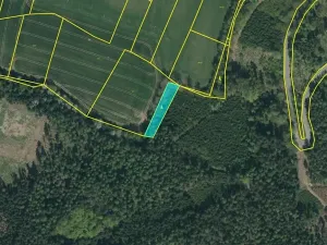 Dražba pozemku, Mladá Vožice, 2401 m2