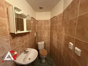 Pronájem bytu 1+1, Brno, Tomáškova, 36 m2