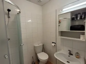 Pronájem bytu 2+kk, Brno, Vídeňská, 45 m2