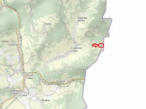 Prodej podílu lesa, Francova Lhota, 1929 m2