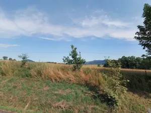 Prodej pole, Jablonné v Podještědí, 18441 m2