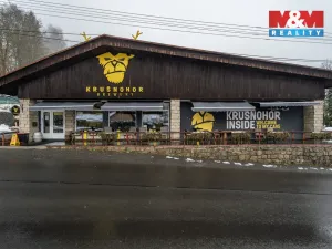 Prodej obchodního prostoru, Kraslice - Tisová, 560 m2