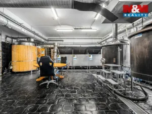 Prodej obchodního prostoru, Kraslice - Tisová, 560 m2