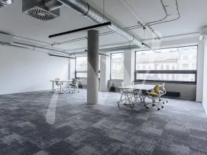 Pronájem kanceláře, Praha - Nové Město, Václavské náměstí, 200 m2