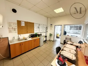 Pronájem výrobních prostor, Lišov, Miletínská, 1000 m2
