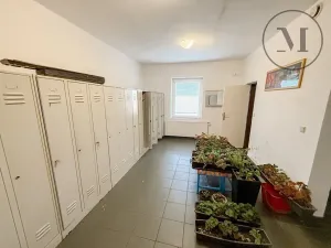 Pronájem výrobních prostor, Lišov, Miletínská, 1000 m2