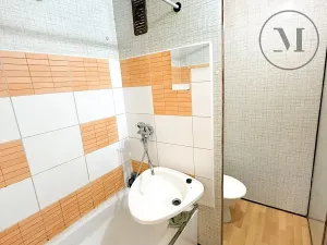 Pronájem výrobních prostor, Lišov, Miletínská, 1000 m2