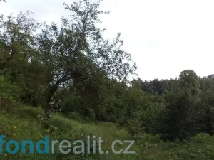 Prodej pozemku, Dolní Dobrouč, 34731 m2