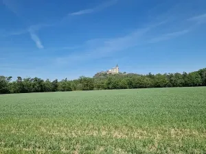 Prodej pozemku pro bydlení, Ráby, 981 m2