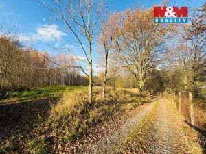 Prodej pole, Šumperk, 5000 m2