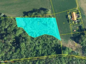 Prodej lesa, Bruzovice, 6273 m2