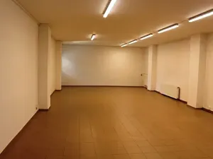 Pronájem obchodního prostoru, Prostějov, Wolkerova, 104 m2