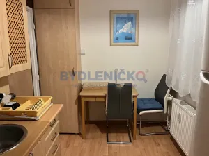 Pronájem bytu 1+1, České Budějovice, Prachatická, 31 m2