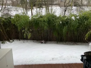 Pronájem bytu 2+kk, Praha - Radlice, Na vysoké I, 56 m2