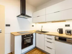 Prodej bytu 1+kk, Boží Dar, 33 m2