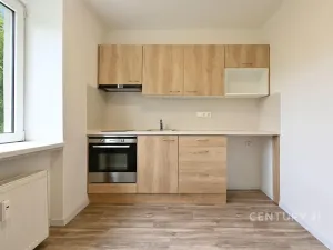 Pronájem bytu 1+1, Most, Antonína Dvořáka, 29 m2