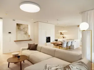 Pronájem bytu 3+kk, Praha - Staré Město, U milosrdných, 114 m2