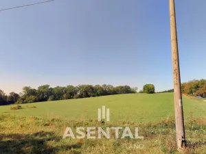 Prodej pole, Ostrava - Slezská Ostrava, Zvěřinská, 44468 m2