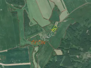 Prodej pozemku, Bělá nad Radbuzou - Čečín, 6857 m2