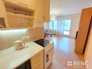 Pronájem bytu 2+kk, Brno, Sevastopolská, 46 m2