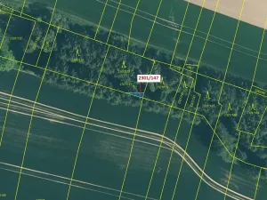 Dražba lesa, Hosty, 19 m2