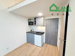 Pronájem bytu 1+kk, Brno, Koliště, 20 m2