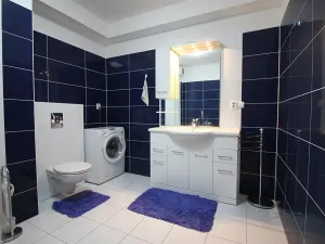 Pronájem bytu 2+kk, Brno, Purkyňova, 60 m2