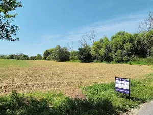 Prodej pole, Brandýs nad Labem-Stará Boleslav, 11346 m2