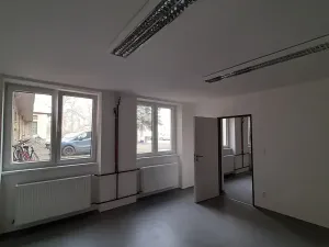 Pronájem komerční nemovitosti, Lužany, 50 m2