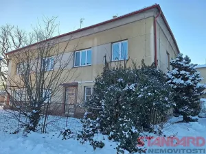 Pronájem komerční nemovitosti, Lužany, 50 m2