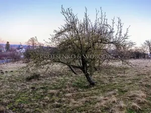 Prodej pozemku pro bydlení, Chotěboř, Hromádky z Jistebnice, 5327 m2