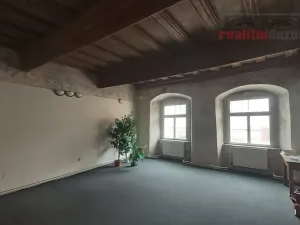 Prodej domu, Jihlava, Palackého, 490 m2