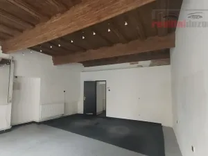 Prodej domu, Jihlava, Palackého, 490 m2