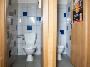 Pronájem restaurace, Sokolov, Karla Havlíčka Borovského, 430 m2