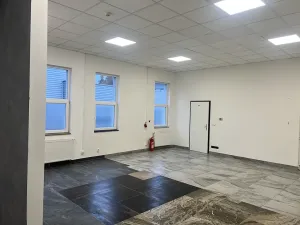 Pronájem kanceláře, Dalovice, Botanická, 136 m2