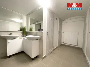 Pronájem obchodního prostoru, Ostrava - Vítkovice, Zengrova, 100 m2