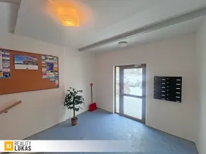 Prodej bytu 3+1, Frýdek-Místek, Hasičská, 86 m2