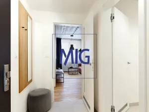 Pronájem bytu 2+kk, Brno, Cejl, 32 m2