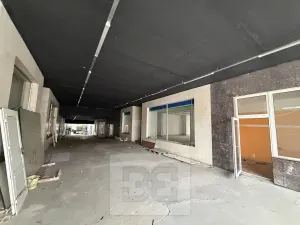 Prodej obchodního prostoru, Chomutov, Zahradní, 14070 m2
