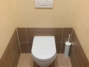 Pronájem bytu 3+1, Ostrava, Bedřicha Nikodema, 74 m2