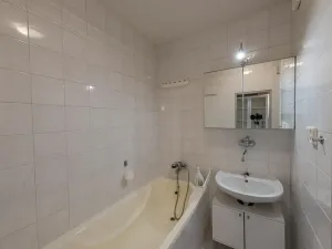 Pronájem bytu 1+1, Praha - Michle, Na úlehli, 46 m2