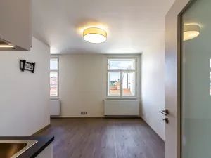 Pronájem bytu 1+kk, Praha - Nové Město, Lípová, 34 m2