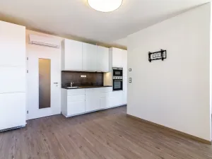 Pronájem bytu 1+kk, Praha - Nové Město, Lípová, 34 m2