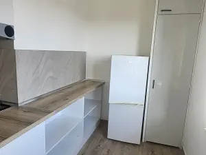 Pronájem bytu 1+1, Český Těšín, Hornická, 39 m2