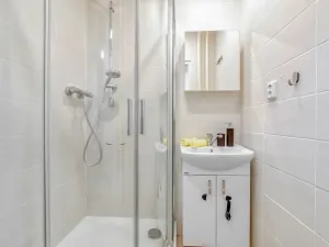 Pronájem bytu 2+1, Ostrava - Hrabůvka, Provaznická, 56 m2