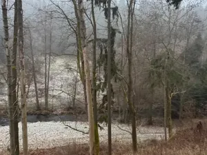 Prodej podílu lesa, Vacov, 23843 m2