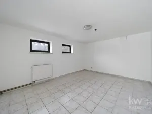 Pronájem rodinného domu, Plzeň, K Řečici, 240 m2