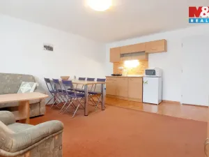 Prodej rodinného domu, Staré Město pod Landštejnem, 200 m2