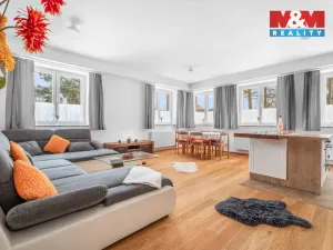 Prodej ubytování, Borušov - Svojanov, 1890 m2